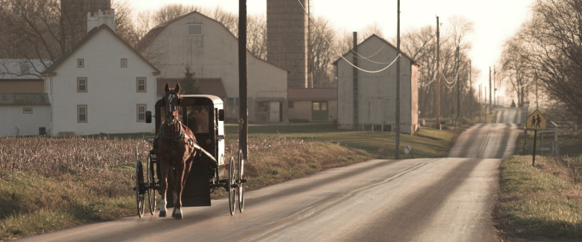 A horse and carriage traveling down the road in Amish country.
