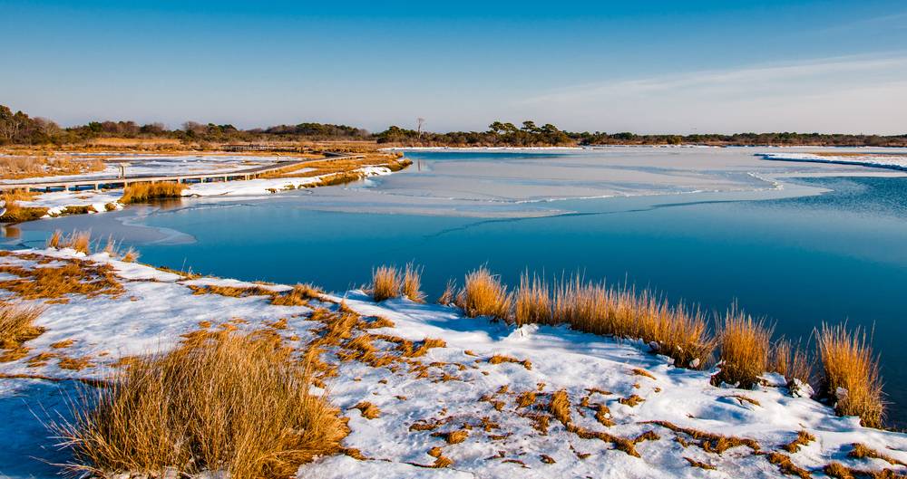 Stark winter landscapes on the Eastern Shore of Maryland