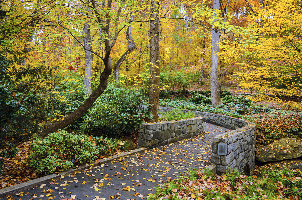 These beautiful botanical gardens are one of the best things to do in Athens GA This Fall