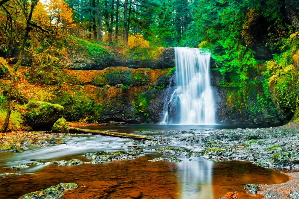 After visiting Willamette Valley wineries, get out and explore more great things to do near McMinnville, like Silver Falls State Park