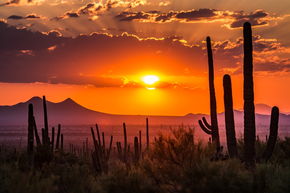 Discover the best places to stay in Arizona, like this beautiful part of Tucson