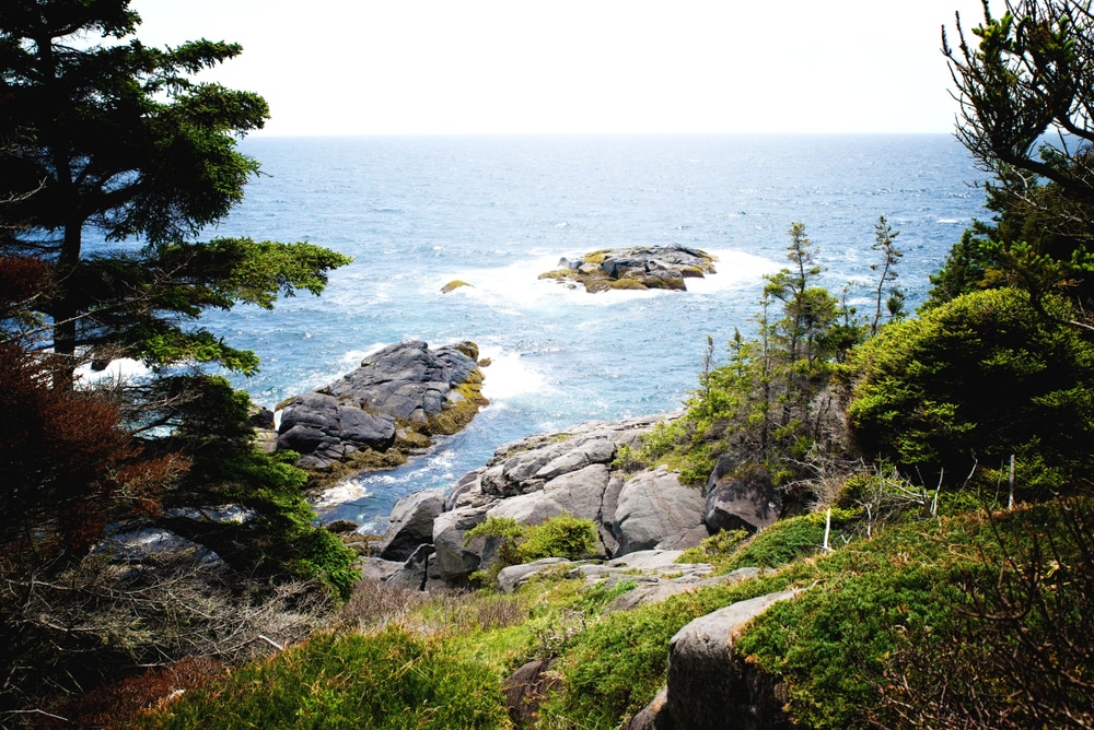 A beautiful view of the shoreline on Monhegan Island, one of the top things to do in Boothbay Harbor